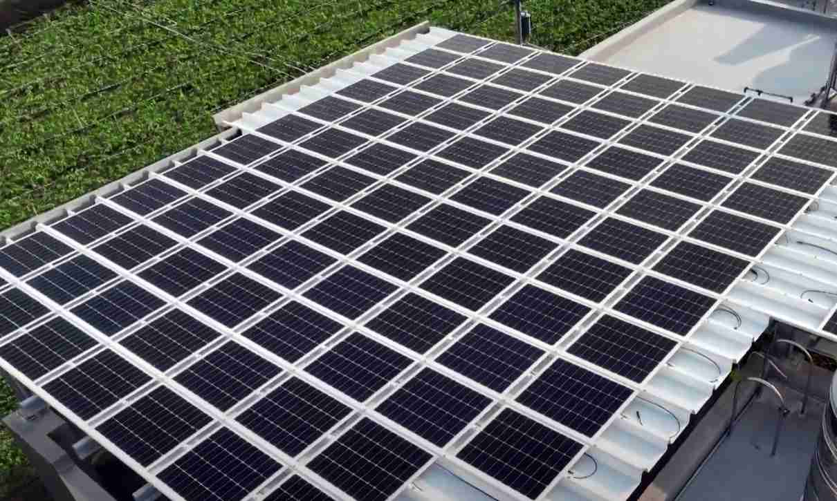 彩神vllSunSteel光电浪板升级双玻结构，，，以提升机械负载强度及气候耐候度，，，，可广泛运用于多元场域